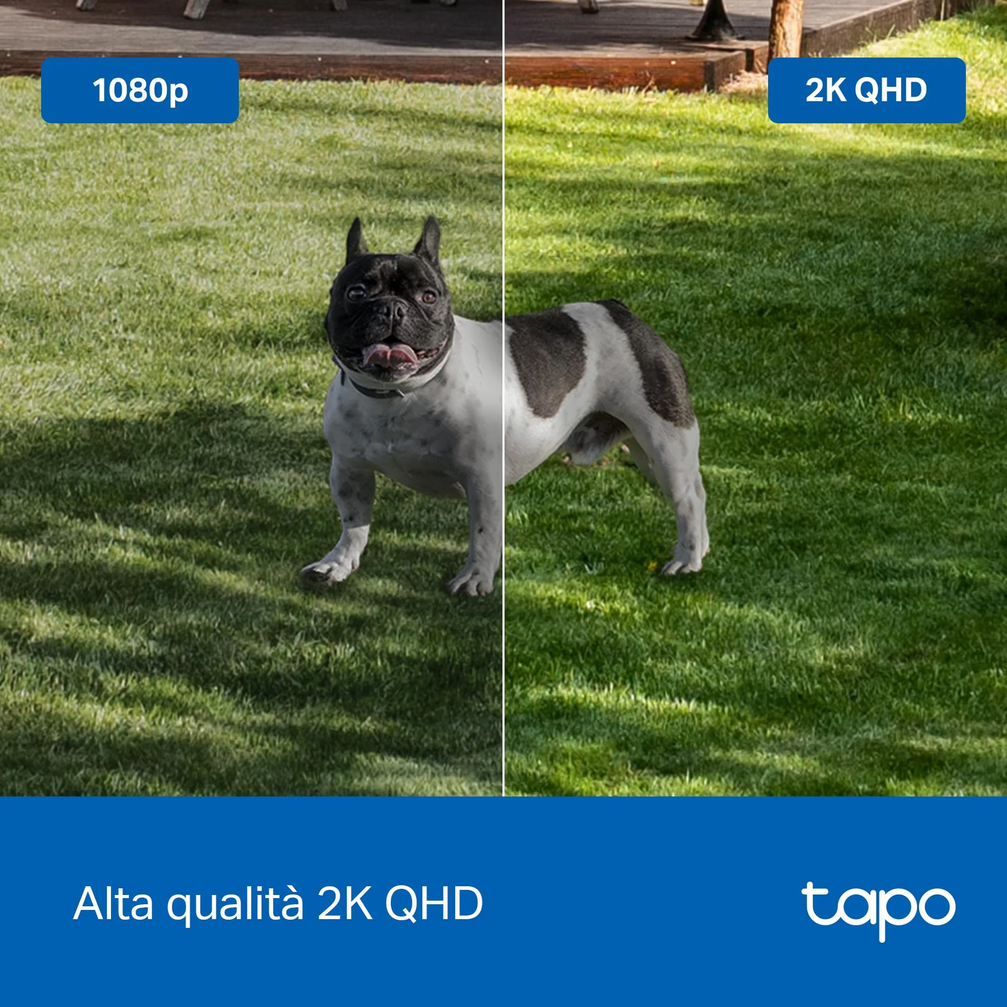 TP-Link Tapo C425 (4-pack) | Zestaw 4 kamer Wi-Fi 2K QHD na baterie | Kolorowy tryb nocny | AI detekcja | Wymaga stacji H200 | Kompatybilne z Alexa i Google Home