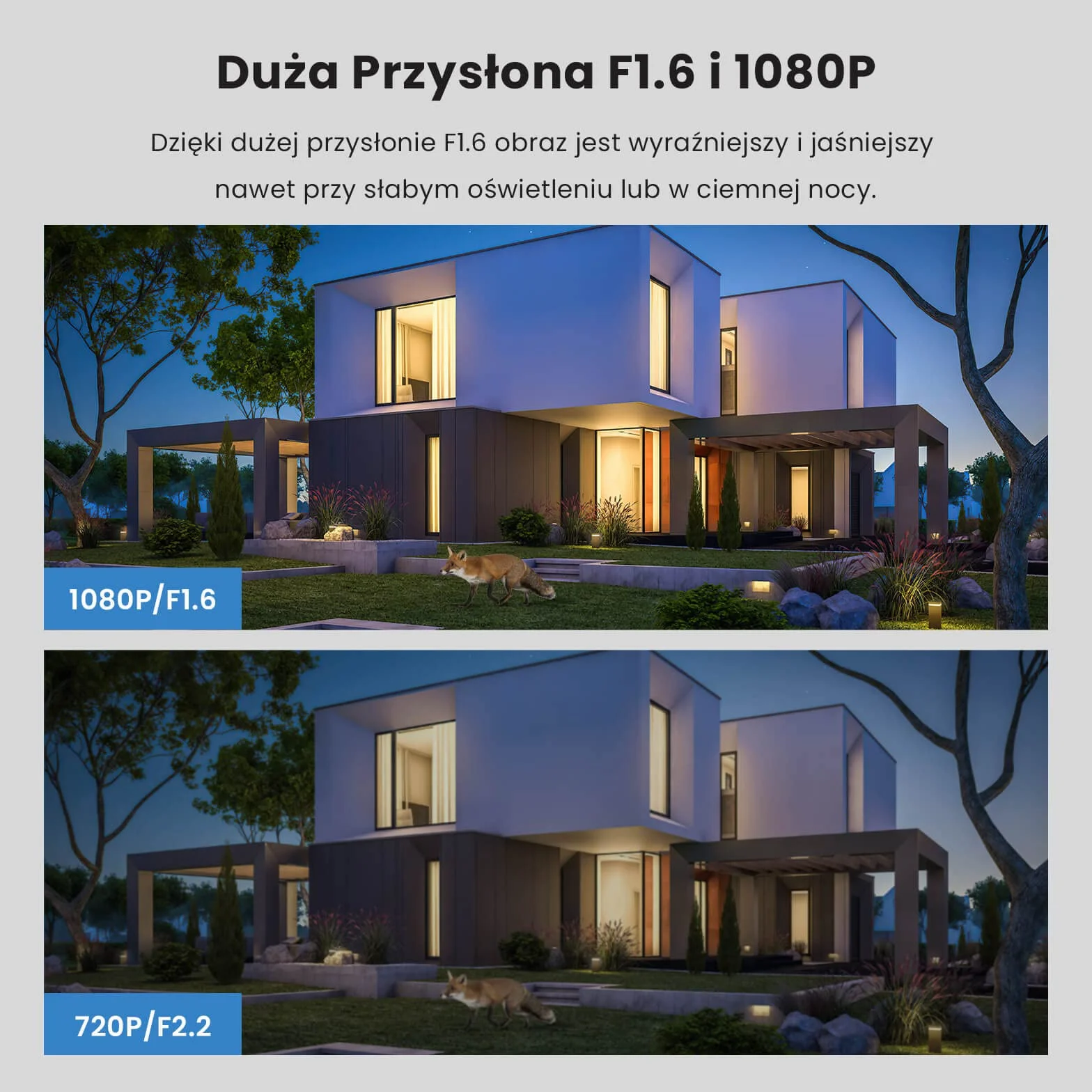 Tenda Kamera Monitoringowa Zewnętrzna Wewnętrzna WiFi - Kolorowa Kamera Nocna 30m, Kamera Bezpieczeństwa, Kontrola Aplikacji, Wykrywanie Ludzi AI, Dwukierunkowe Audio, Kompatybilna z Alexa, CT3 1080P